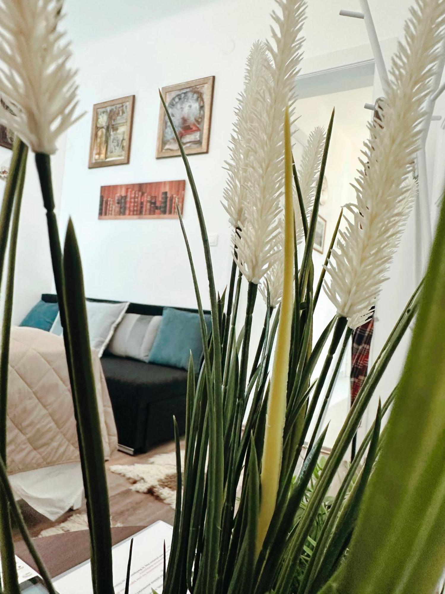 Downtown Vibe Apartmán Budapešť